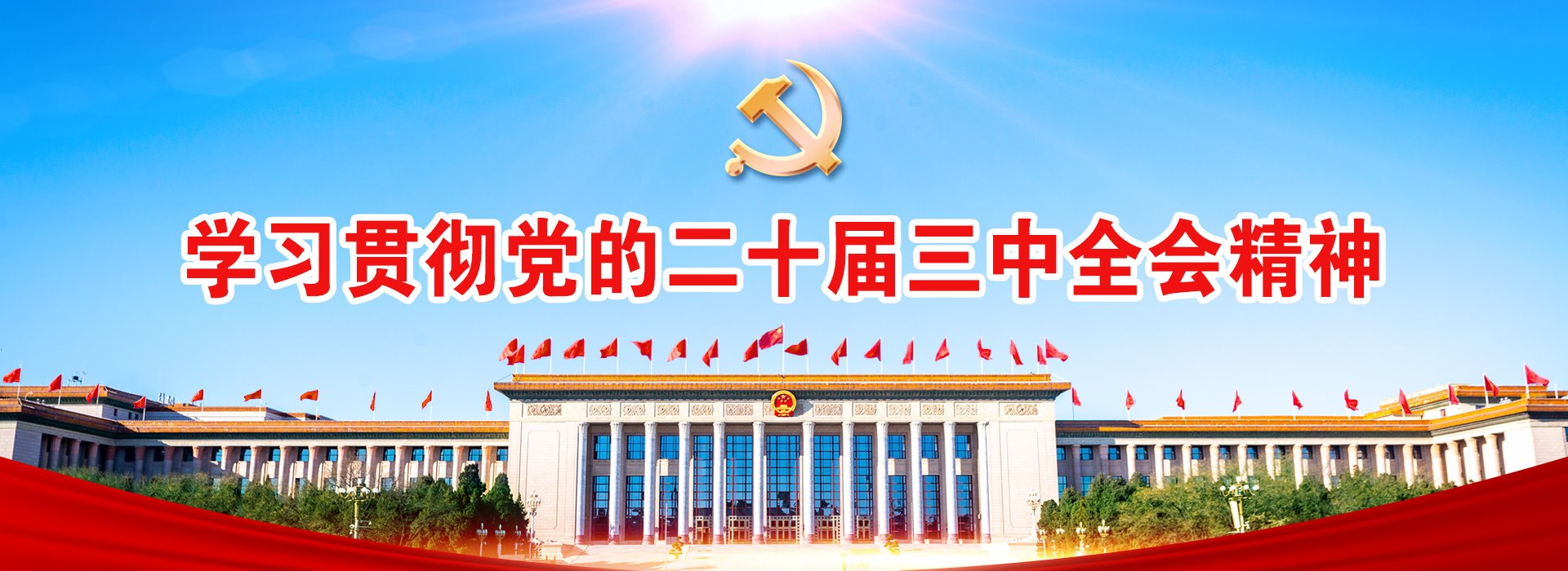 学习贯彻党的二十届三中全会精神